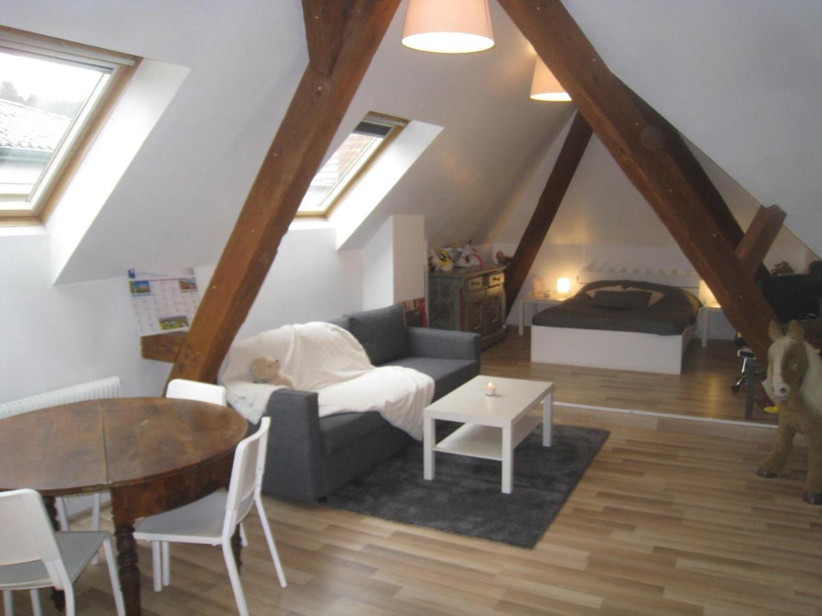 Chambres Privatives Chez L'Habitant Guebwiller Zewnętrze zdjęcie